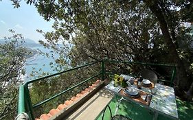 Le Dimore Di Zaro - Green Paradise