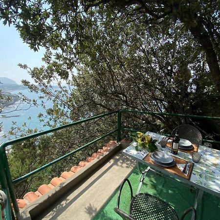 Le Dimore Di Zaro - Green Paradise Forio di Ischia Exterior foto