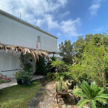 Ferienwohnung Le Dimore Di Zaro Forio di Ischia Zimmer foto