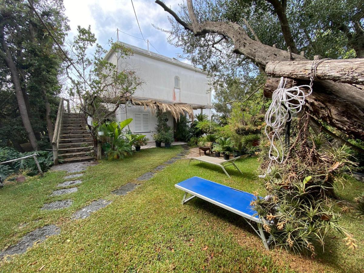 Le Dimore Di Zaro - Green Paradise Forio di Ischia Exterior foto