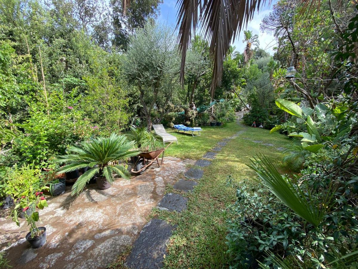Le Dimore Di Zaro - Green Paradise Forio di Ischia Exterior foto