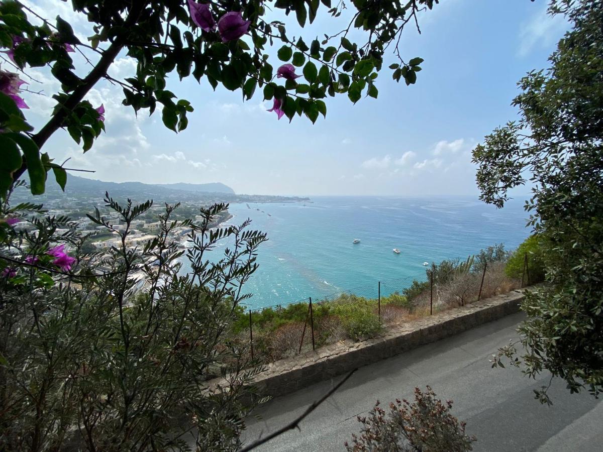 Le Dimore Di Zaro - Green Paradise Forio di Ischia Exterior foto