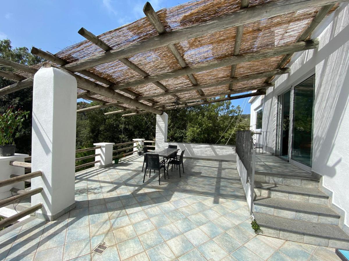 Le Dimore Di Zaro - Green Paradise Forio di Ischia Exterior foto