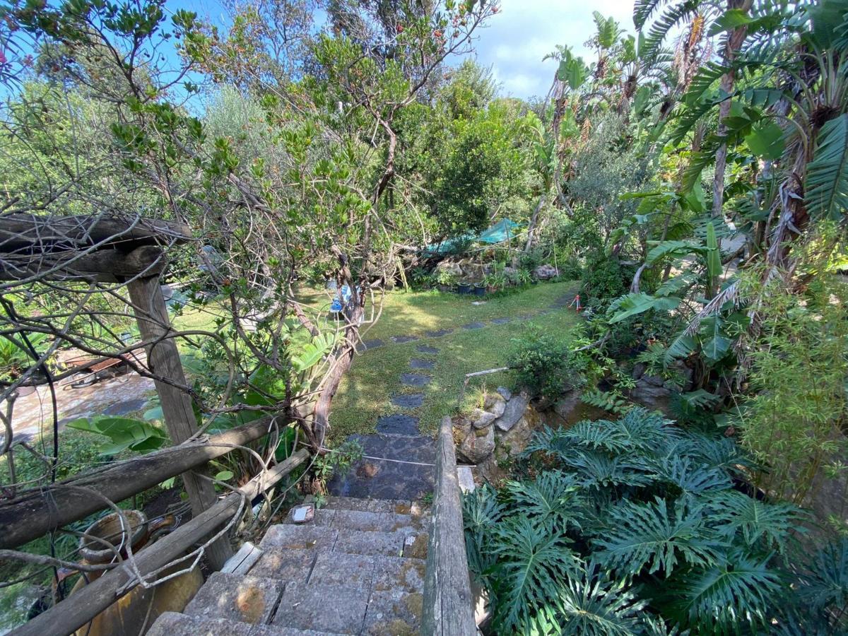 Le Dimore Di Zaro - Green Paradise Forio di Ischia Exterior foto