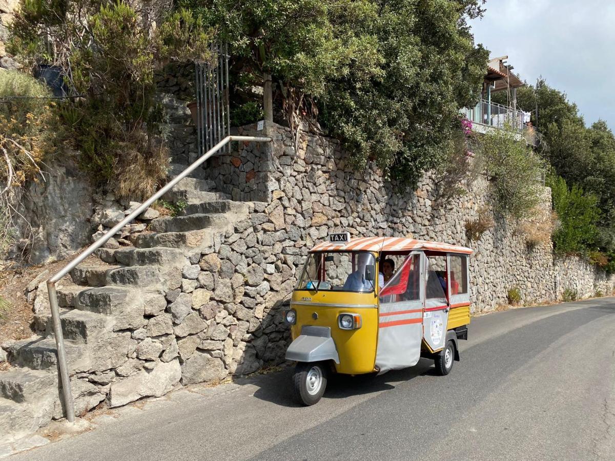 Le Dimore Di Zaro - Green Paradise Forio di Ischia Exterior foto