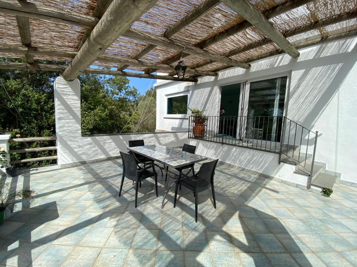 Le Dimore Di Zaro - Green Paradise Forio di Ischia Exterior foto