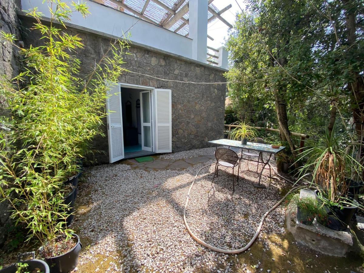 Le Dimore Di Zaro - Green Paradise Forio di Ischia Exterior foto