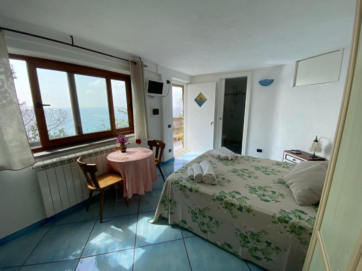 Le Dimore Di Zaro - Green Paradise Forio di Ischia Exterior foto