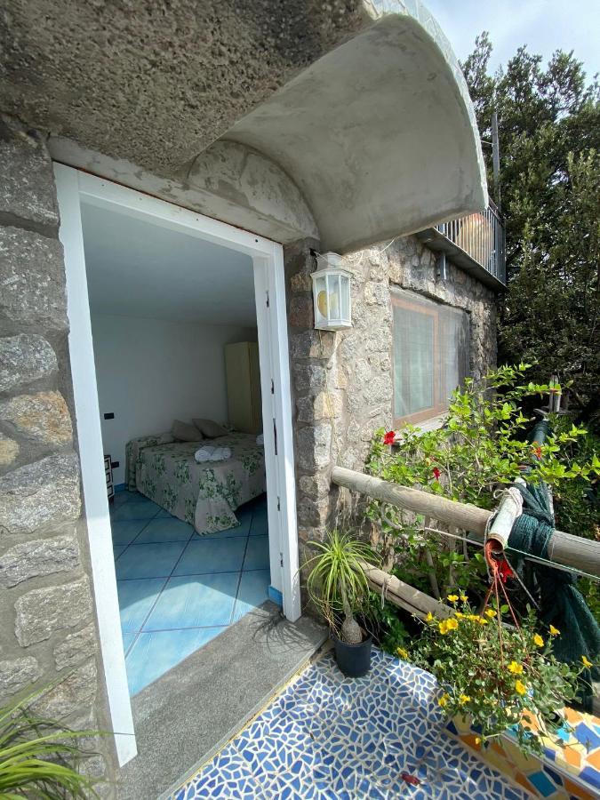 Le Dimore Di Zaro - Green Paradise Forio di Ischia Exterior foto