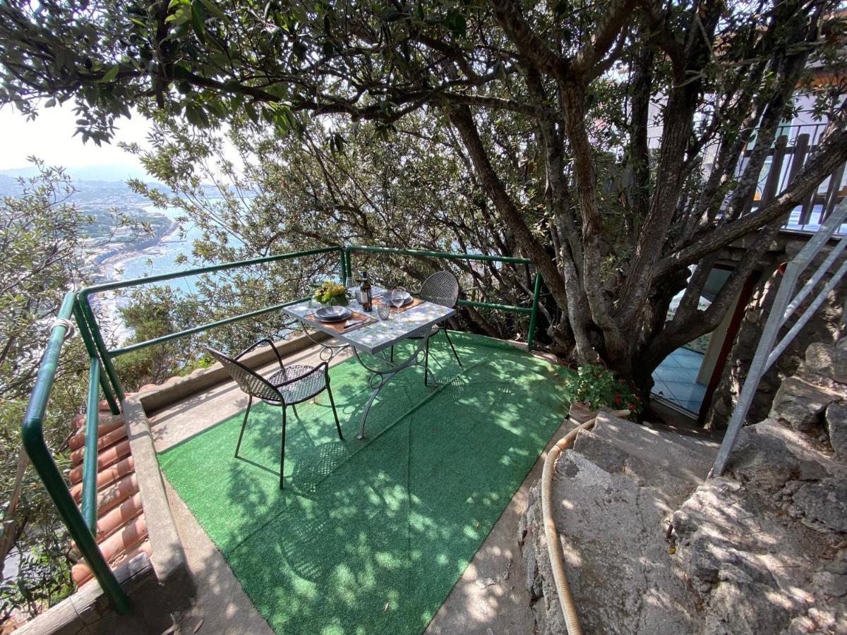 Le Dimore Di Zaro - Green Paradise Forio di Ischia Exterior foto