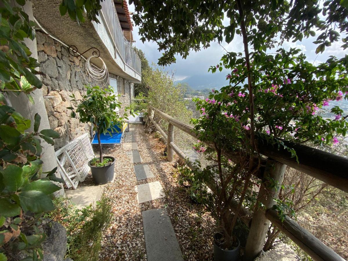 Le Dimore Di Zaro - Green Paradise Forio di Ischia Exterior foto