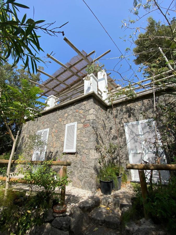 Le Dimore Di Zaro - Green Paradise Forio di Ischia Exterior foto