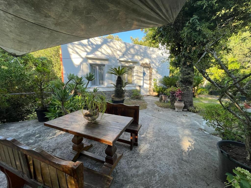 Le Dimore Di Zaro - Green Paradise Forio di Ischia Exterior foto