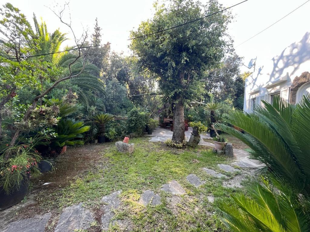Le Dimore Di Zaro - Green Paradise Forio di Ischia Exterior foto