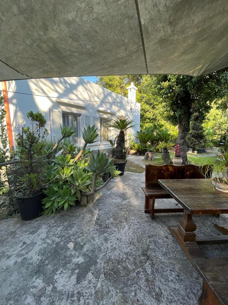Le Dimore Di Zaro - Green Paradise Forio di Ischia Exterior foto