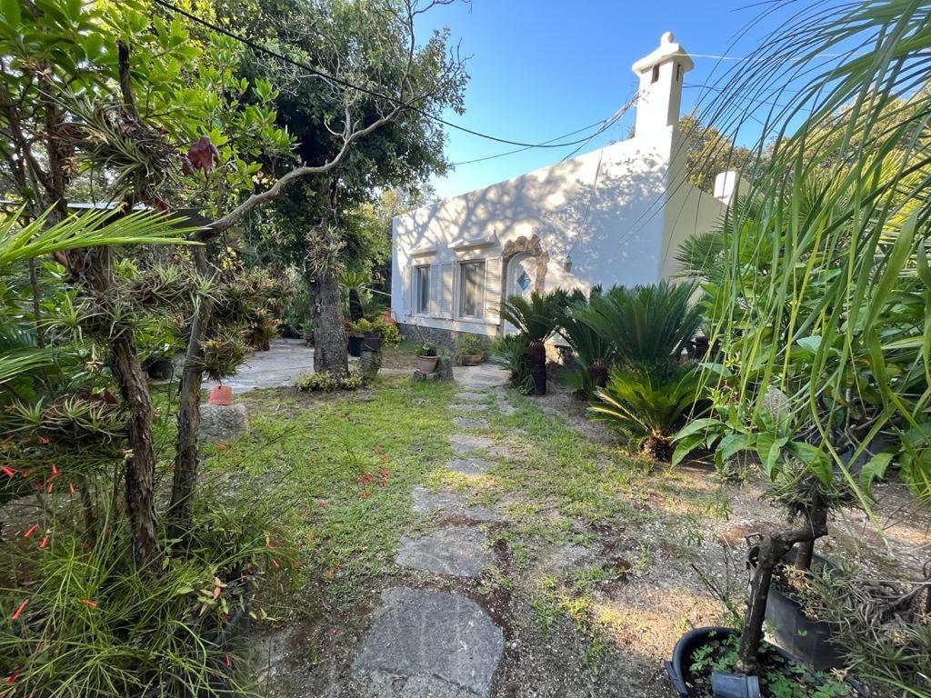 Ferienwohnung Le Dimore Di Zaro Forio di Ischia Exterior foto