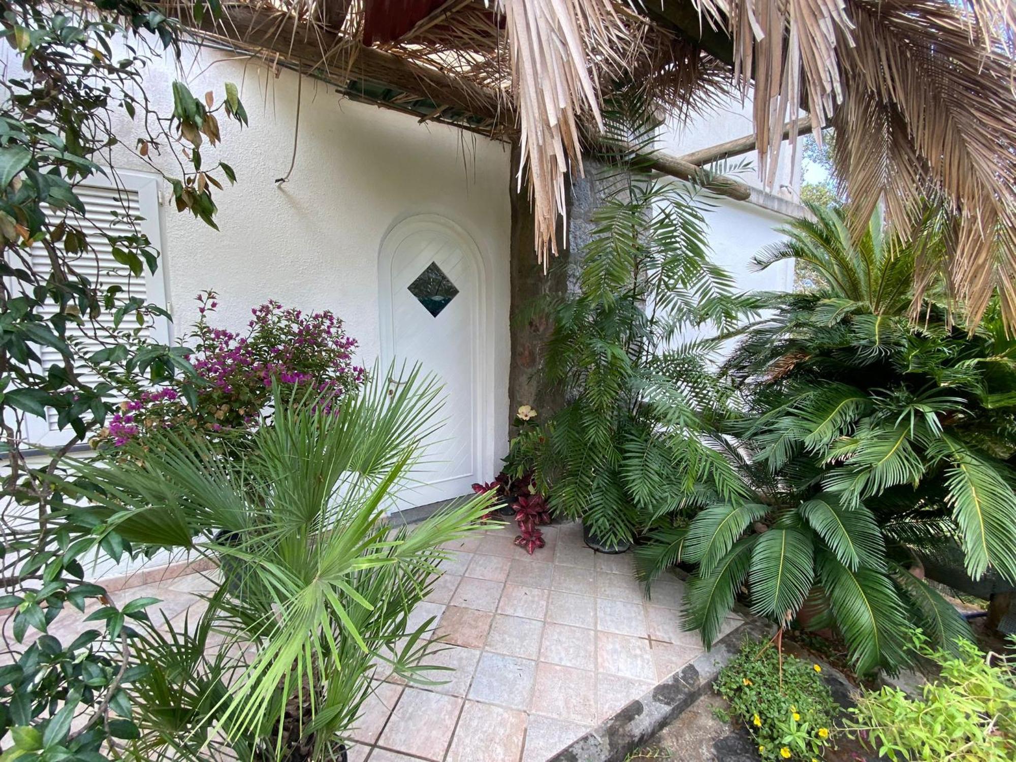 Le Dimore Di Zaro - Green Paradise Forio di Ischia Zimmer foto