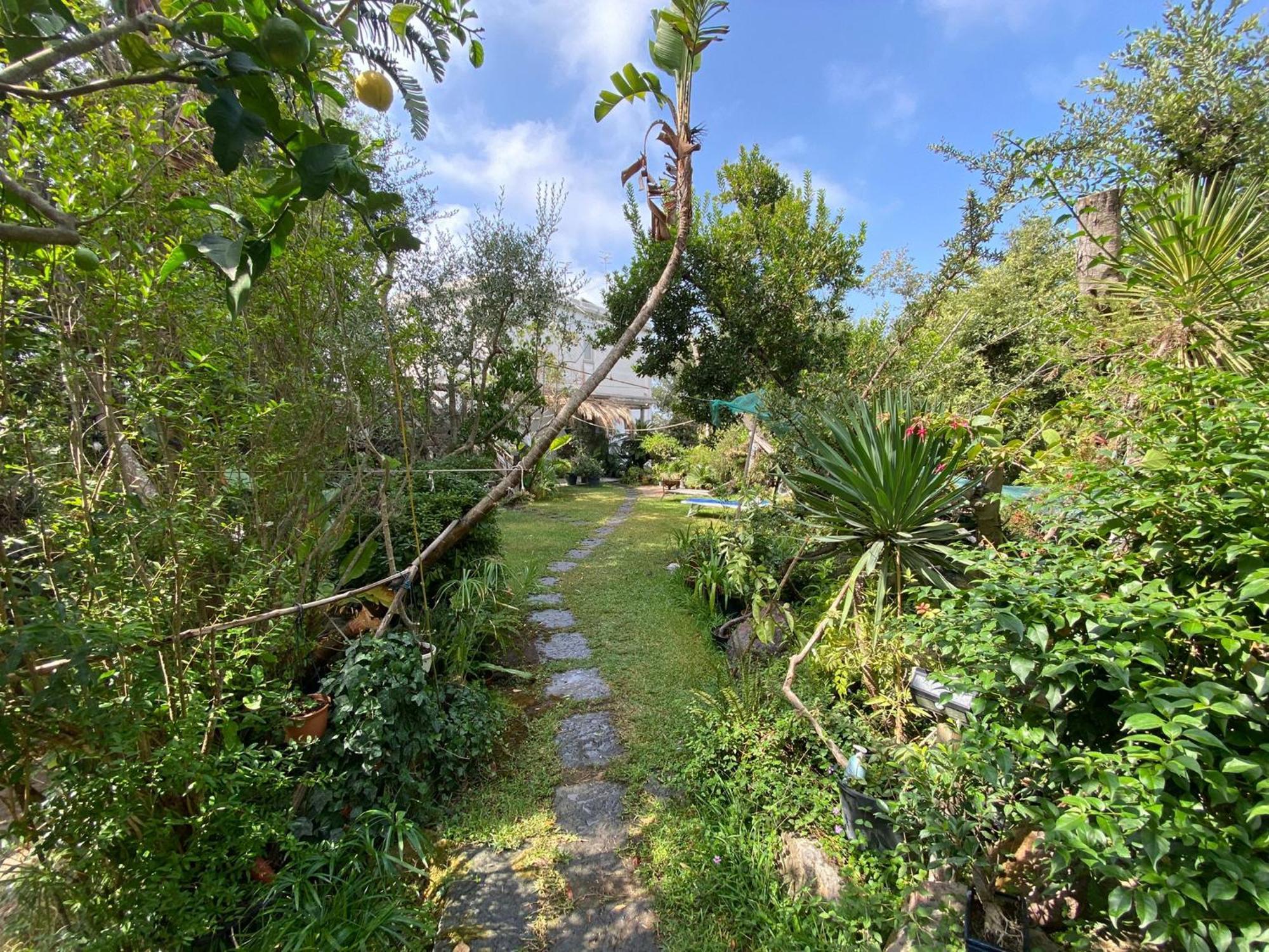 Ferienwohnung Le Dimore Di Zaro Forio di Ischia Zimmer foto