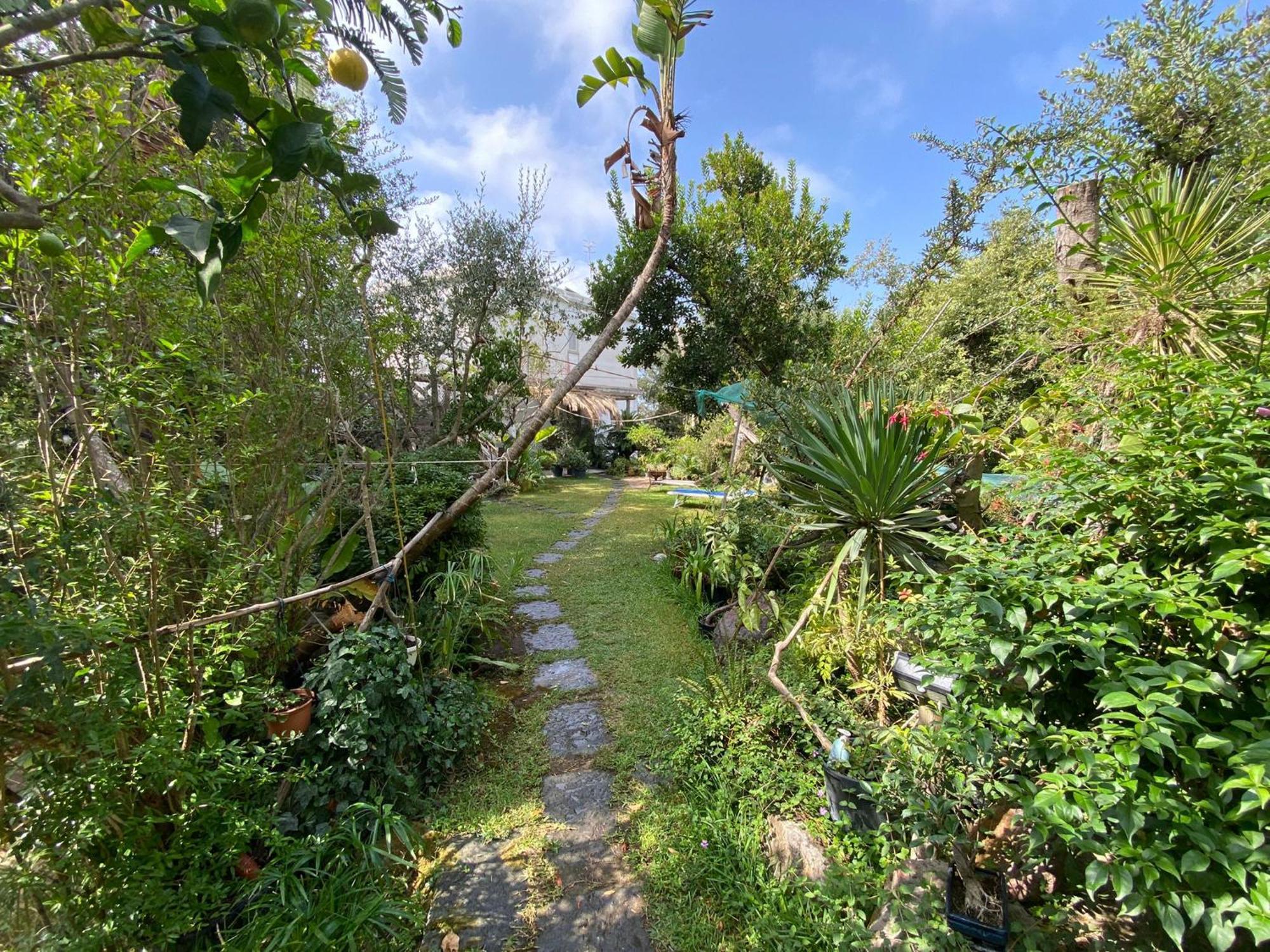 Le Dimore Di Zaro - Green Paradise Forio di Ischia Zimmer foto