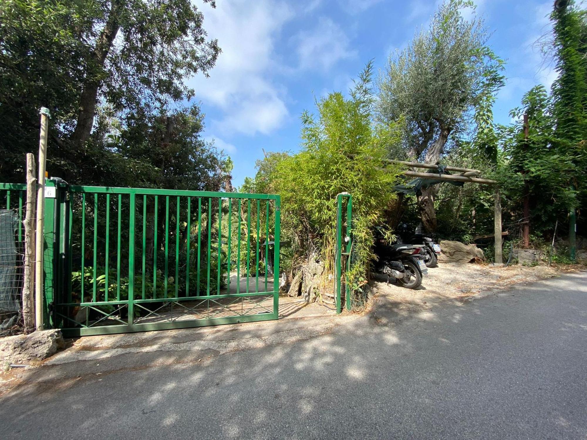 Le Dimore Di Zaro - Green Paradise Forio di Ischia Zimmer foto