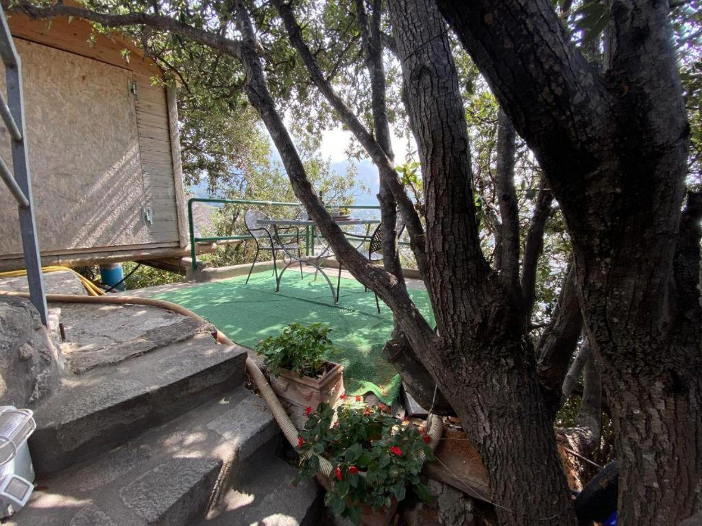 Le Dimore Di Zaro - Green Paradise Forio di Ischia Exterior foto