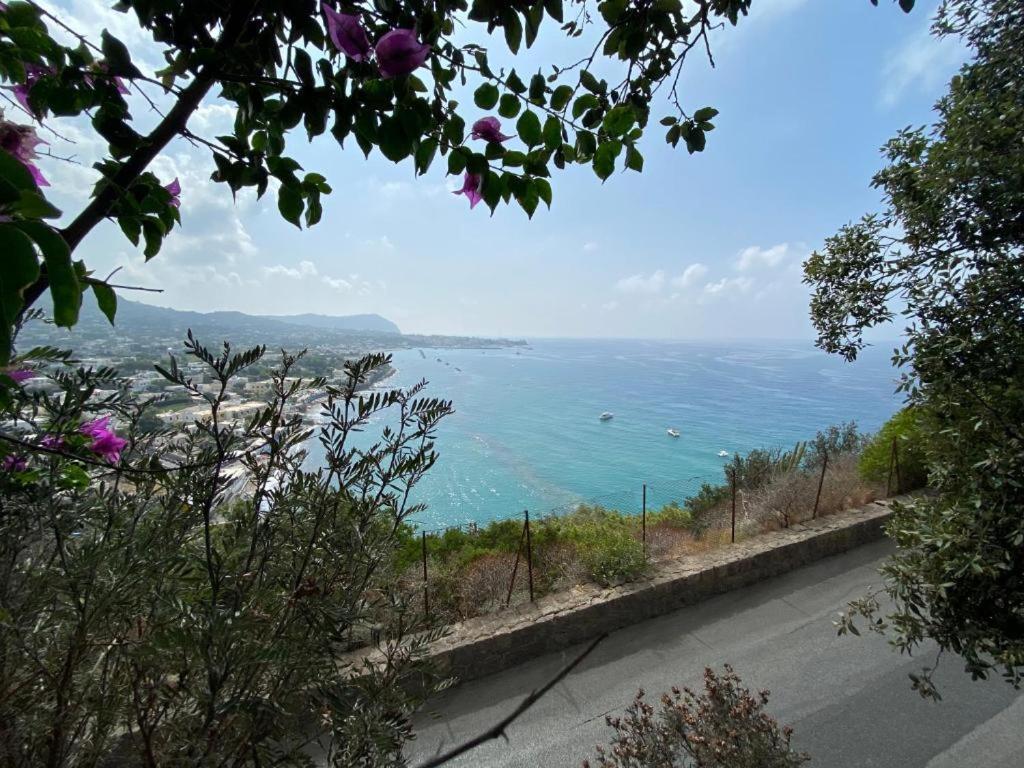 Le Dimore Di Zaro - Green Paradise Forio di Ischia Exterior foto